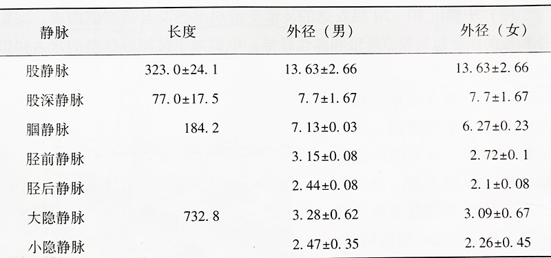 沈陽五一靜脈曲張專科醫院的下肢靜脈血管長度與外徑見表